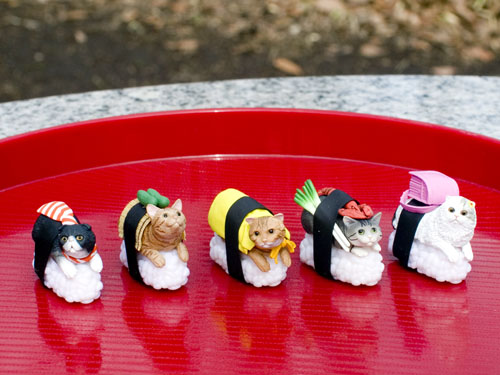 Set of sushi cats